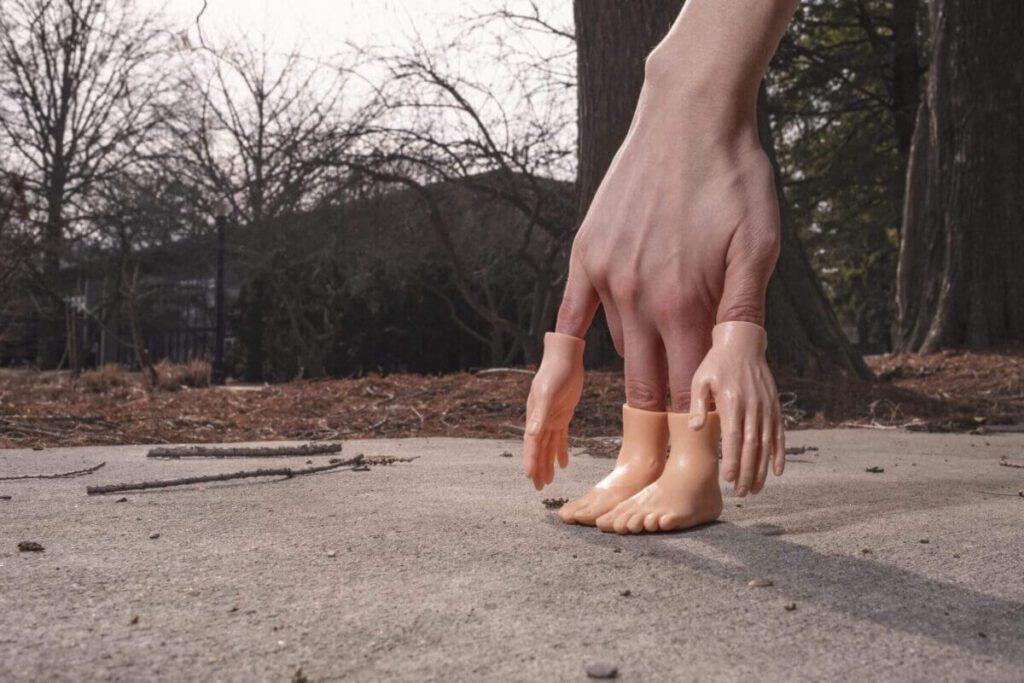 Hol vannak a neten ingyenes képek, szabadon felhasználható képek?