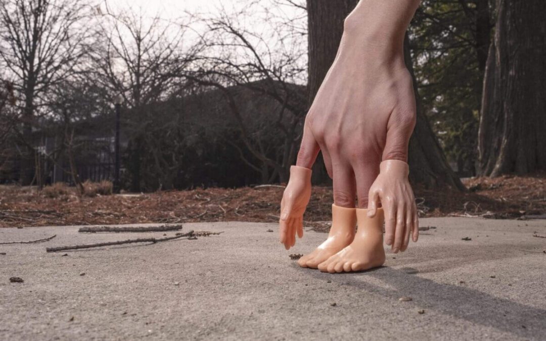 Hol vannak a neten ingyenes képek, szabadon felhasználható képek?